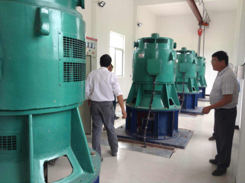 樅陽縣連城泵站更新改造